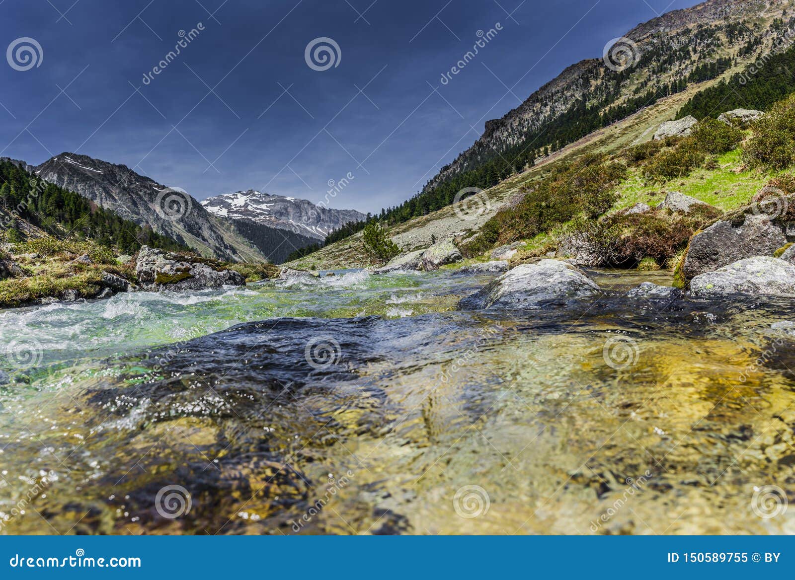 mountain brook in the pyrenees